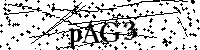 Пожалуйста, введите буквы и числа ниже
