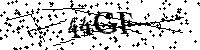Пожалуйста, введите буквы и числа ниже