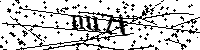 Будь ласка, введіть літери та цифри нижче
