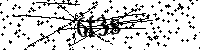 Будь ласка, введіть літери та цифри нижче